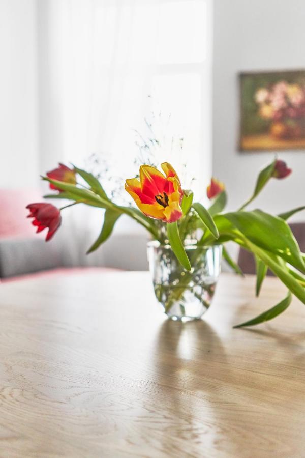 New And Lovely Apartament In Vilnius City Centre Exteriör bild